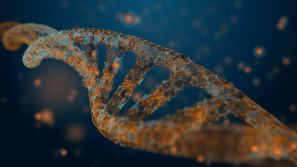 Detailed DNA visualisation