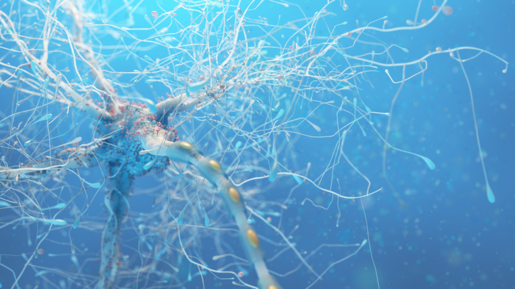 Scientific illustration of a network of neurons